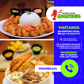 Arte Post Megaviche_Mesa de trabajo 1 copia